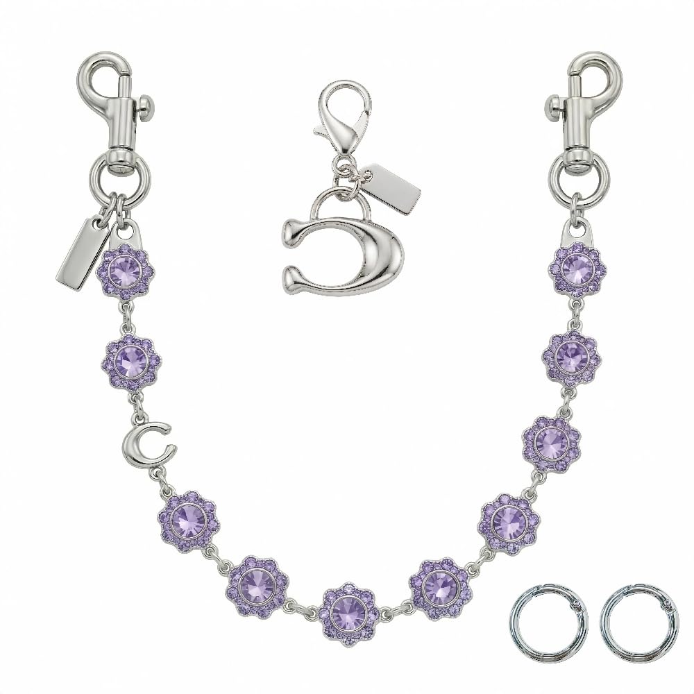 Bag Charms for Handbags Gold Purse Chain Bag Charm Chain