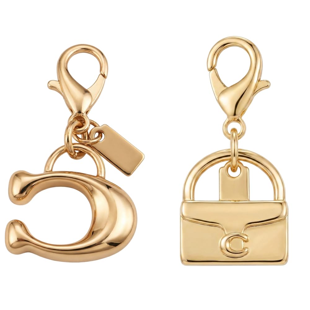 Bag Charms for Handbags Gold Purse Chain Bag Charm Chain
