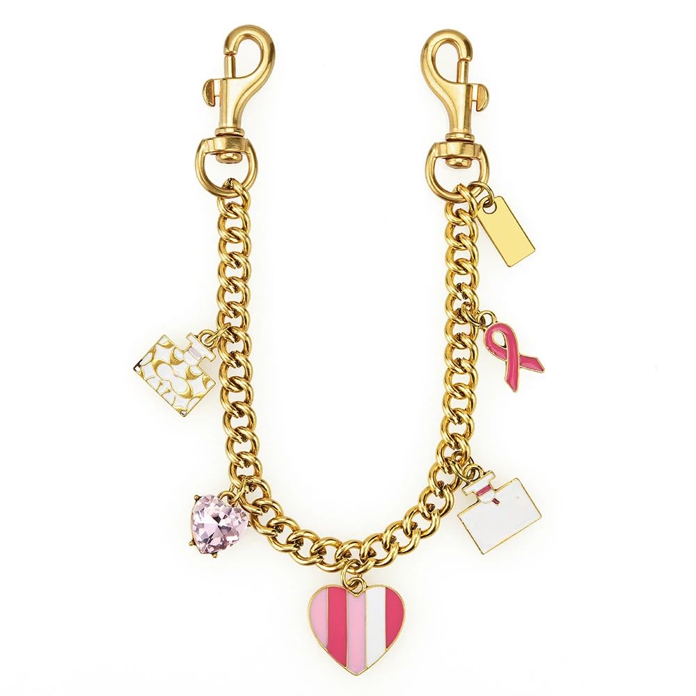 Bag Charms for Handbags Gold Purse Chain Bag Charm Chain
