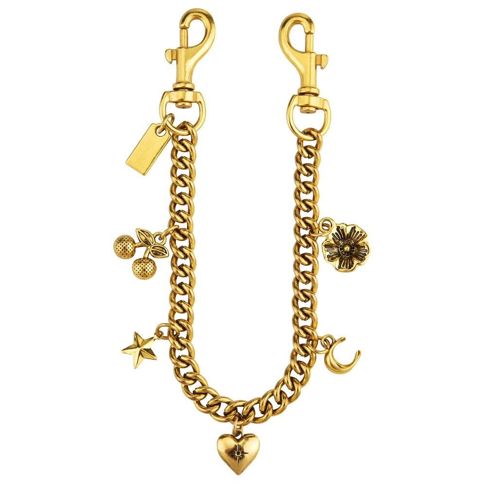 Bag Charms for Handbags Gold Purse Chain Bag Charm Chain