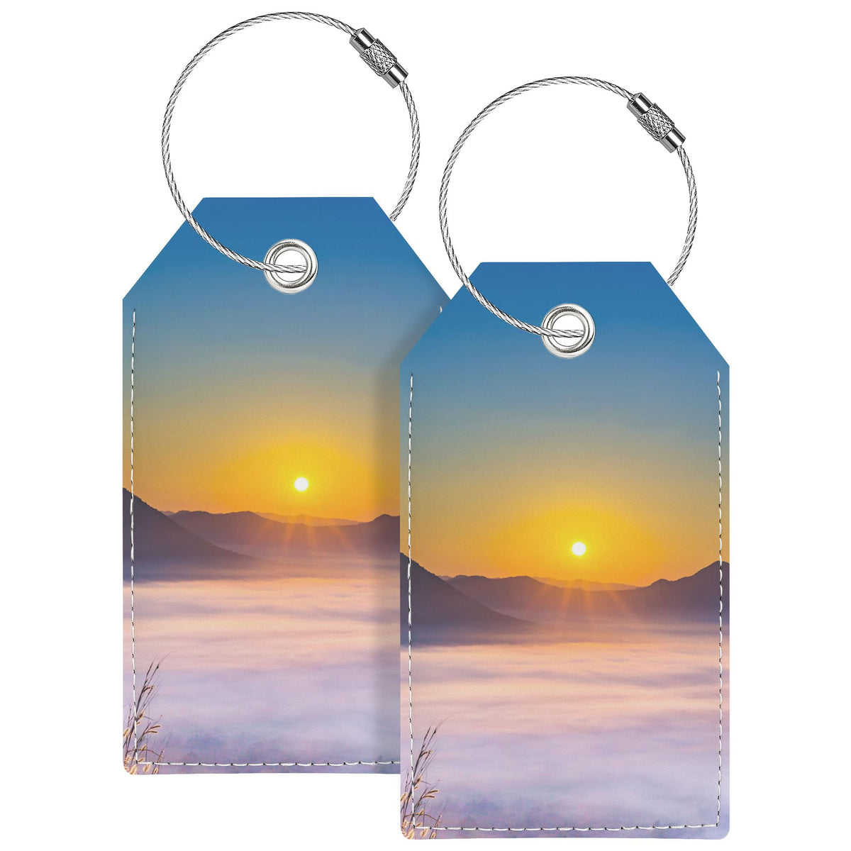 Luggage Tag & Personalized Luggage Tags for Suitcases Leather Bag Tags for Backpacks Handbag School Instrument with Name ID Label Travel Essentials, Unique Fun Pink Baggage Tags 2 Pack