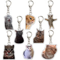 Ohjijinn 8Pcs Cat Keychain Cute Cat Meme Keychains Two Cats Talking Keyring Kawaii Charm Keychain Funny Gift